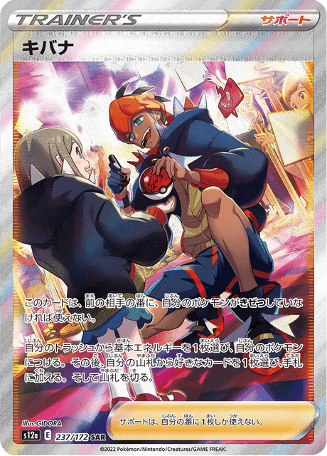 Raihan SAR 237/172 — VSTAR Universe (S12a), Japanese Pokémon card, illus. GIDORA